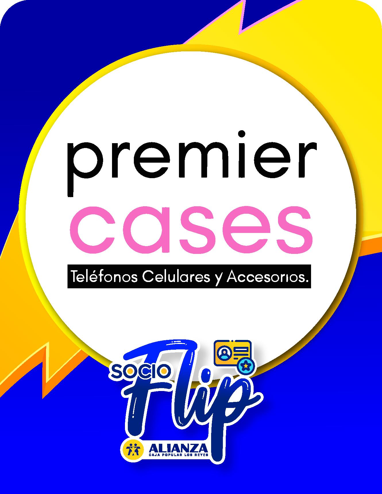 Premier Cases